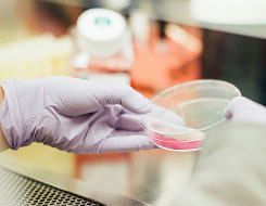Solutions for Traditonal and Compound Pharmacies